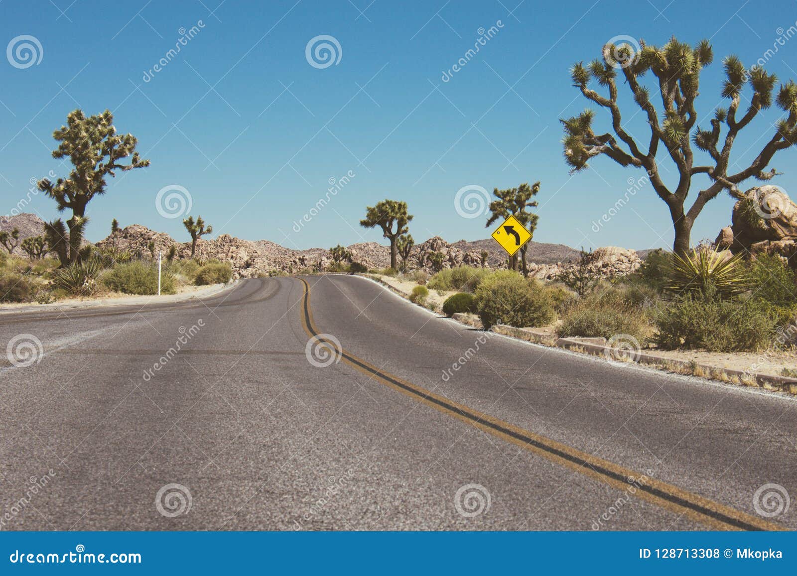 paved desert road through joshua tree national pa