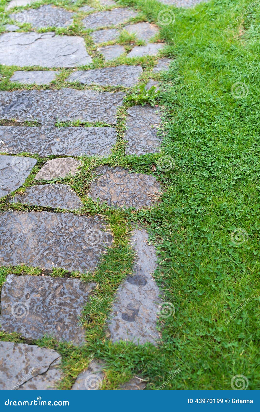 Paved garden. Detail of a garden with stone floor