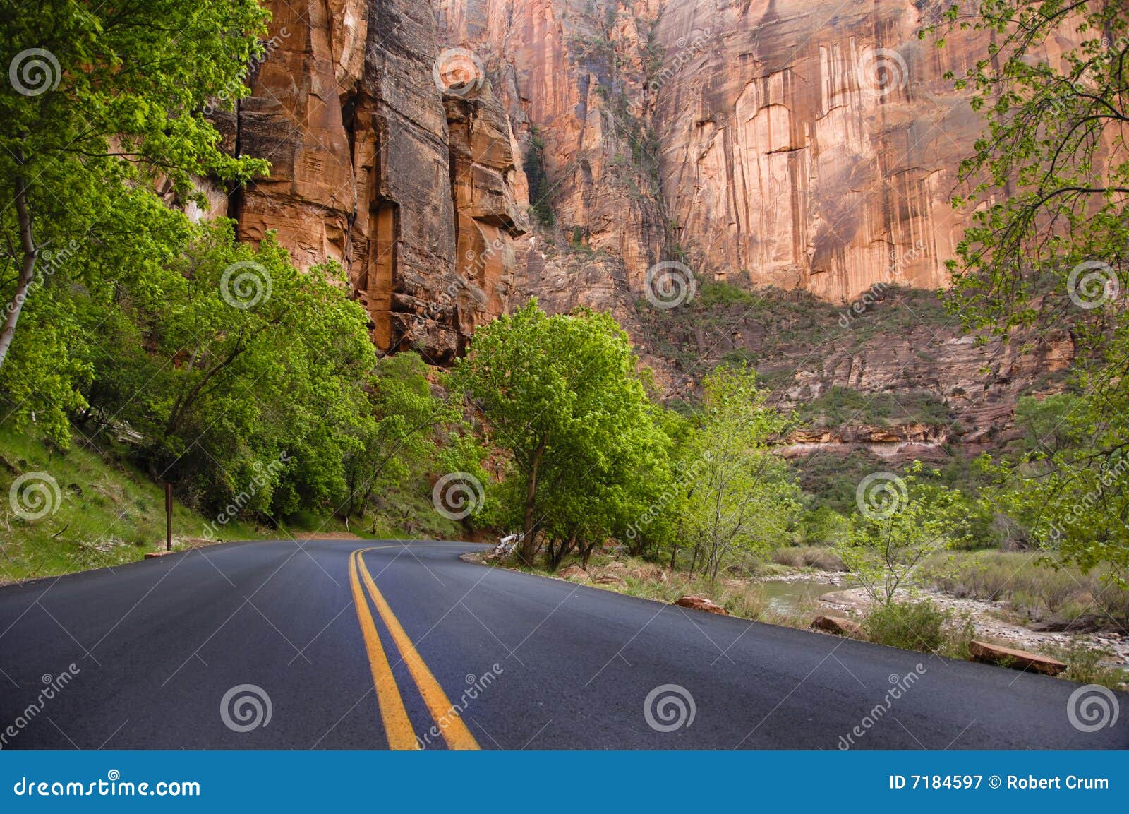Paved Road, Zion National Park Stock Image Image of park, united 7184597