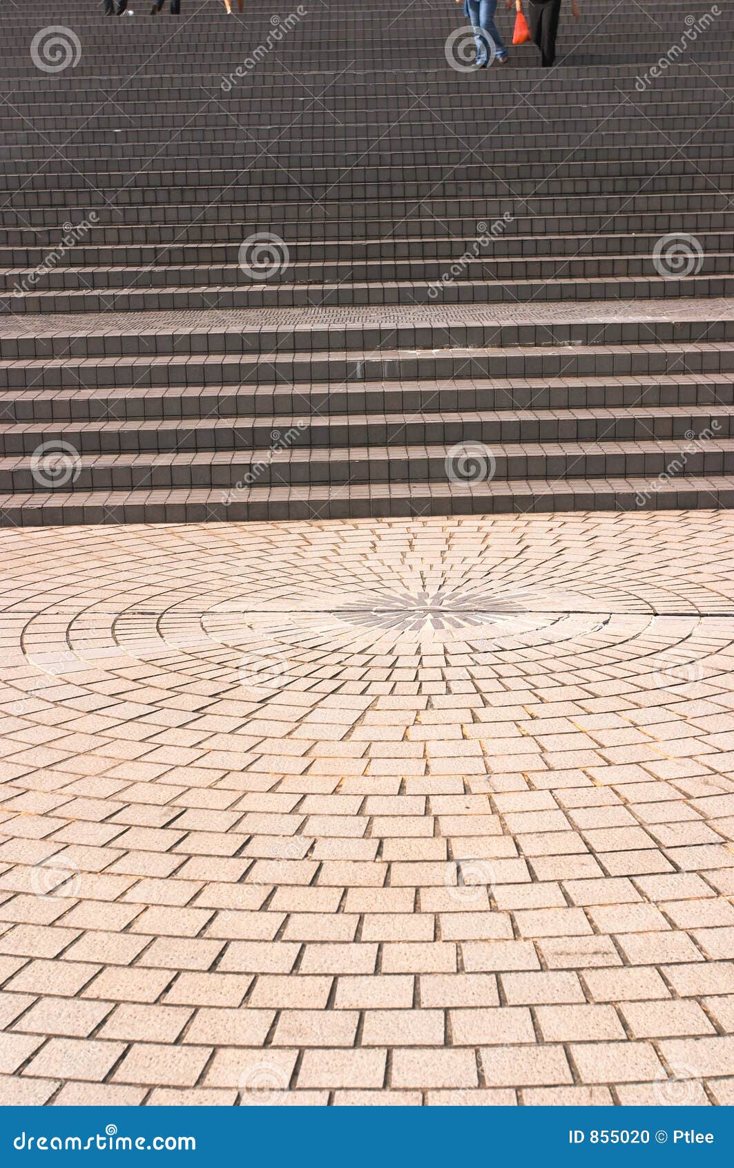 pavement leading to broad stairways