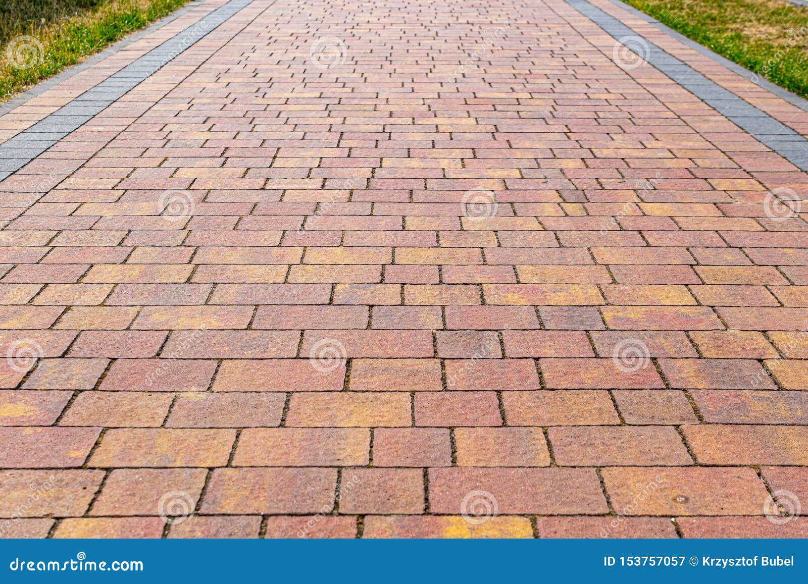 Pavement with Red Paving Stones Stock Image Image of design, path