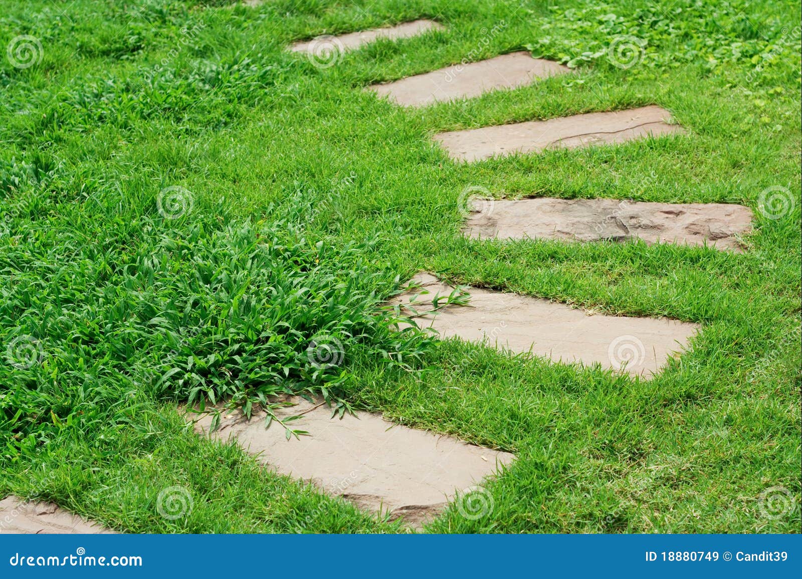 Pavement slab on the grass stock image. Image of concrete 18880749