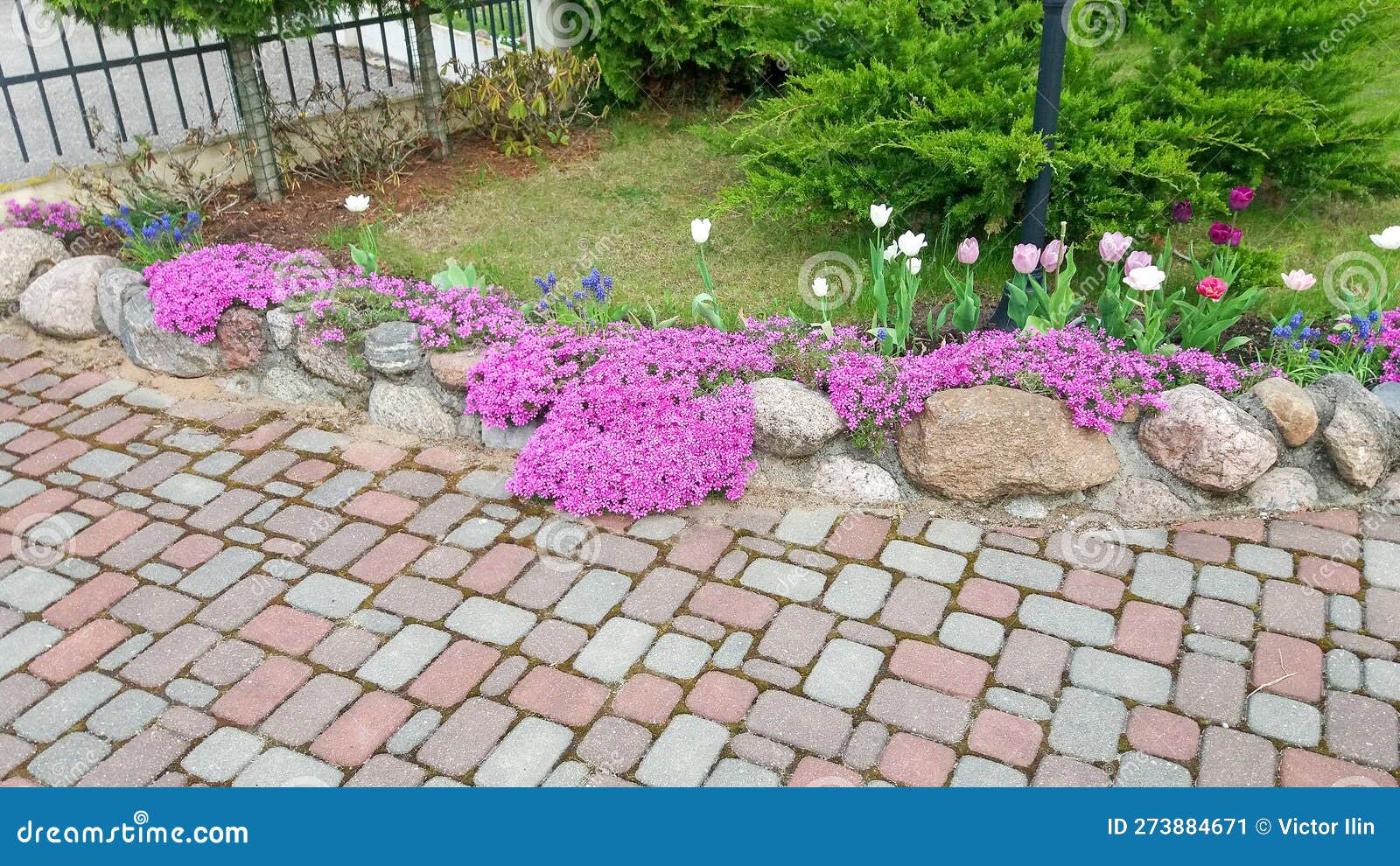 Pavement of Tiles and a Border of Stones, Overgrown with Red Phlox