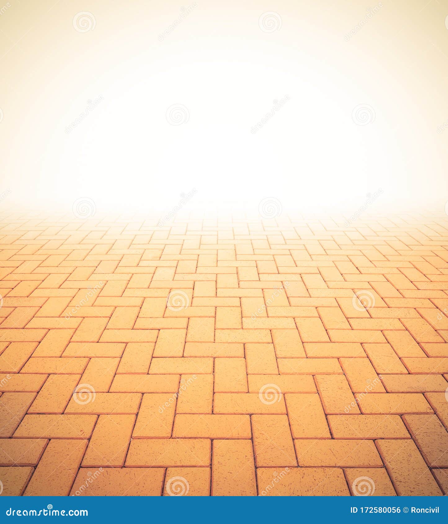 Paver Block Floor Background Stock Photo Image of perspective