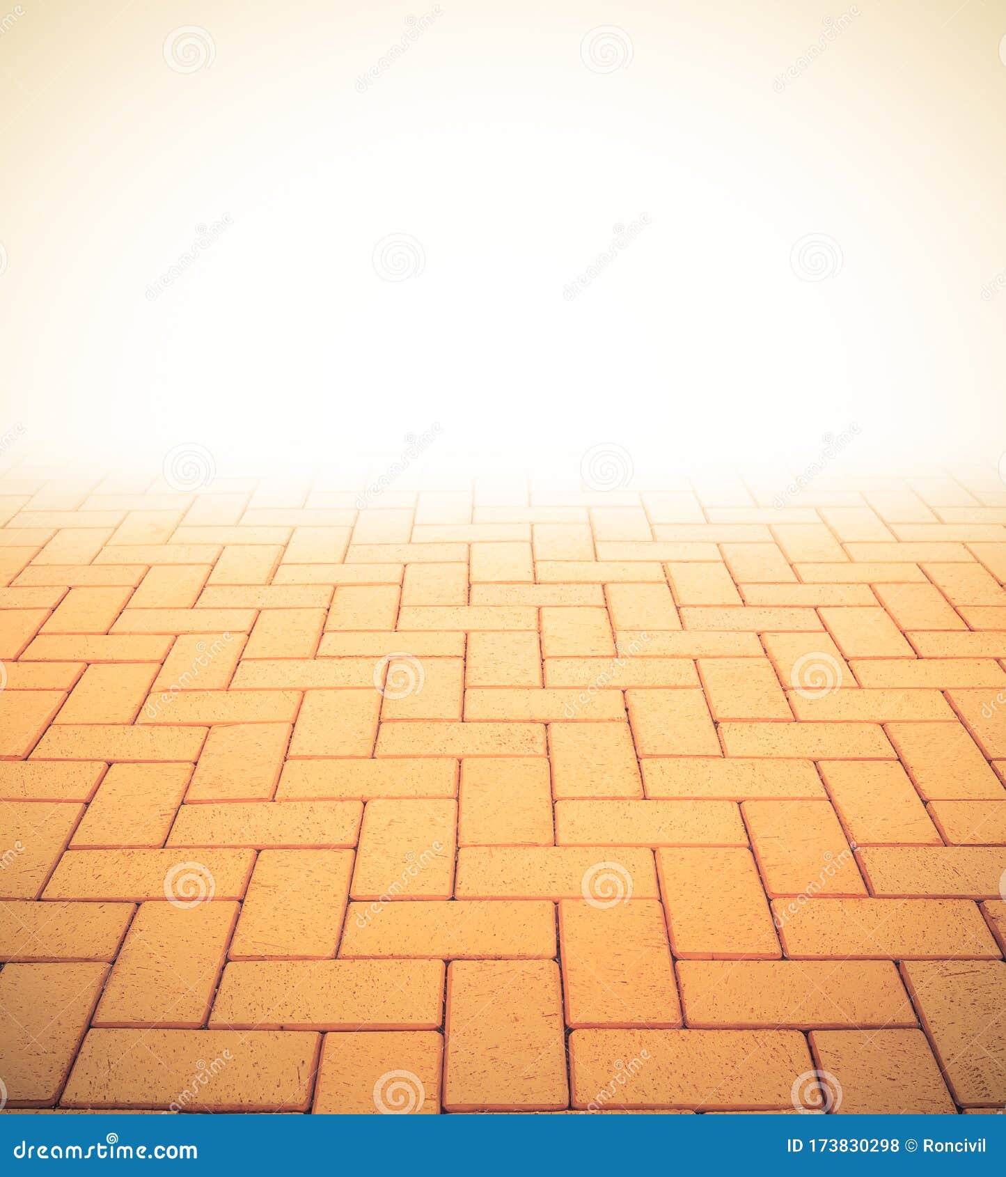 Paver Block Floor Background Stock Photo Image of path, pavement