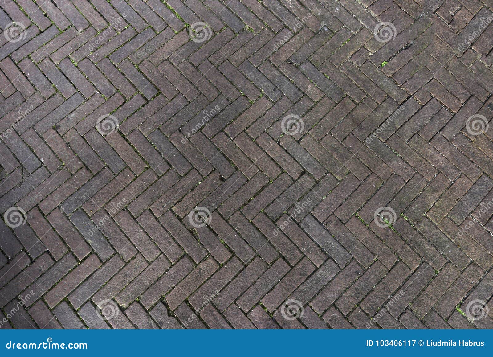 Pavers Laid from Gray Concrete Bricks in a Herringbone Pattern Stock