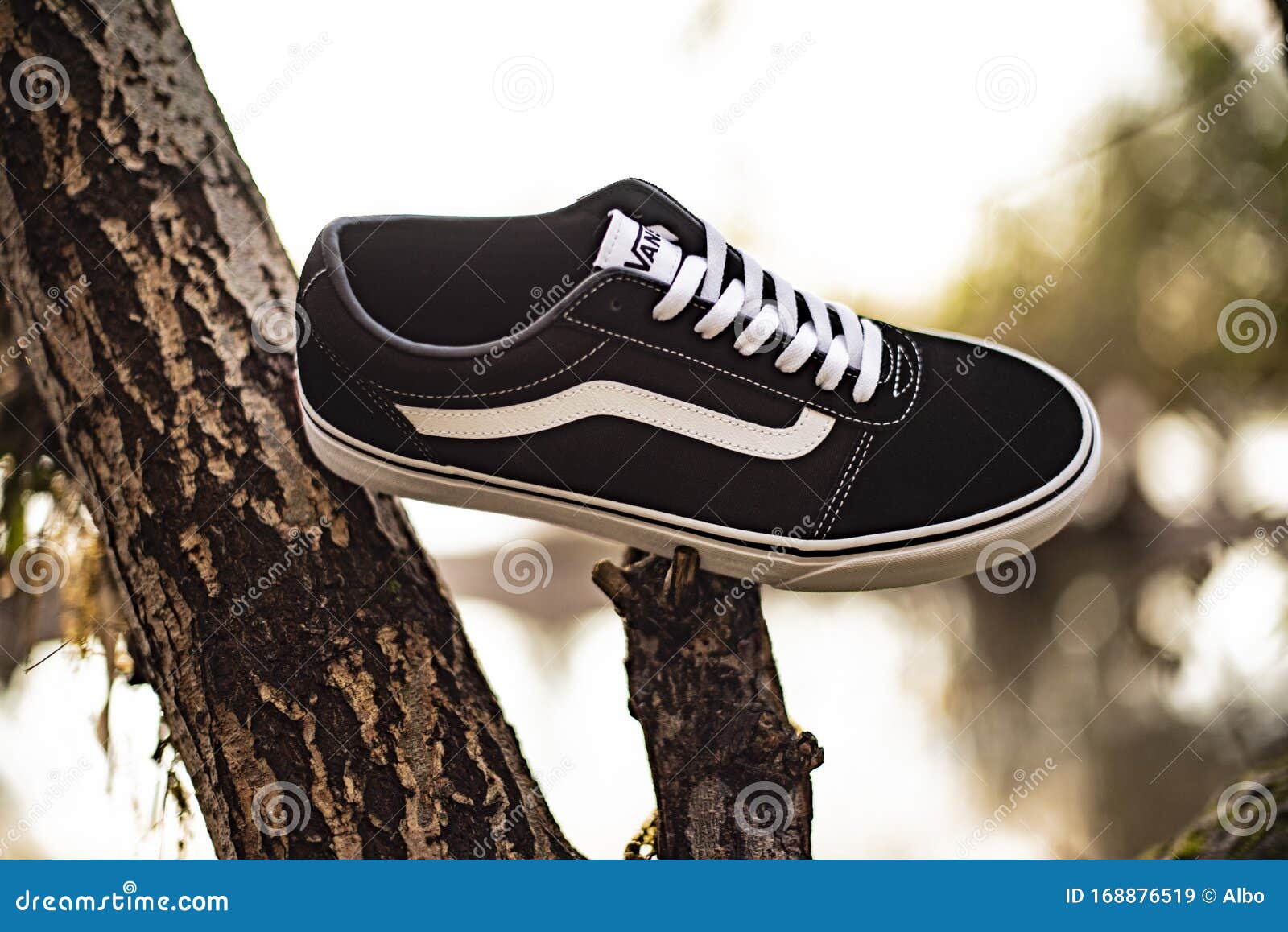 vans images