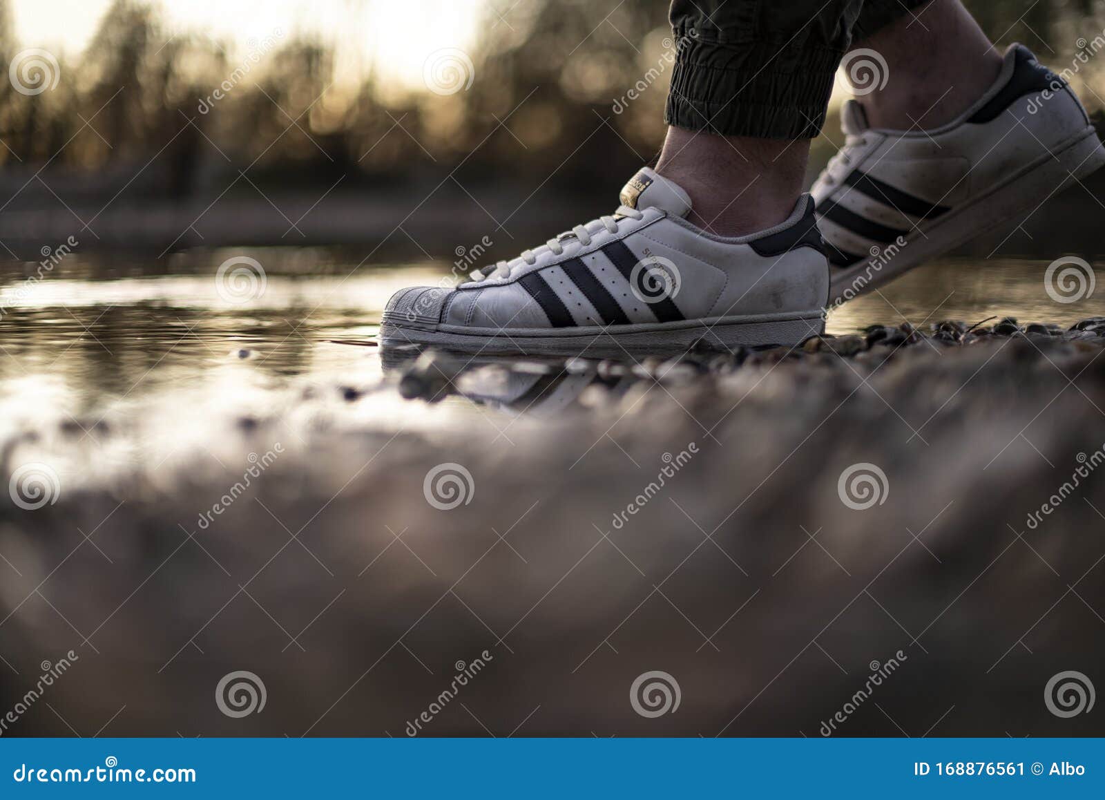 Young Man Wearing an Old Pair of Adidas Superstar Shoes in River Water Editorial Photo - Image of adult, background: 168876561