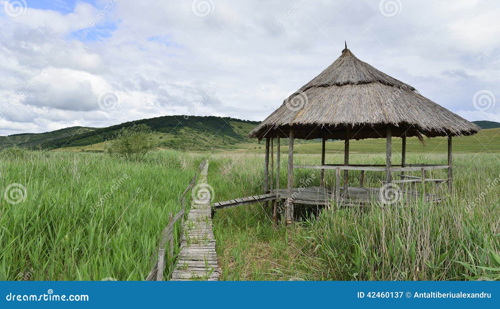 Pavillion e ponte di legno attraverso la riserva naturale a lamella da sic. Rappresenti preso alla riserva a lamella da sic, la Transilvania, Romania, Europa