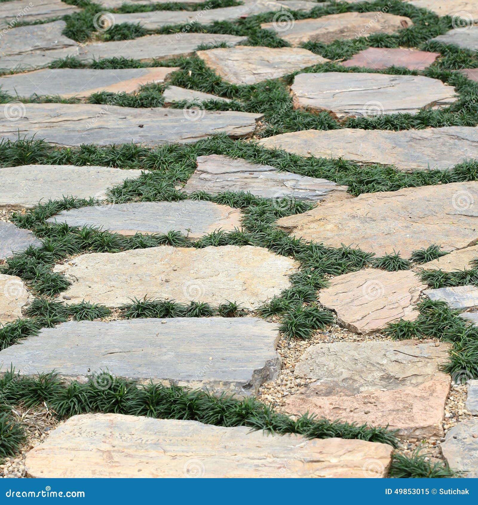 Pavimento di progettazione di pavimentazione con la pietra ...