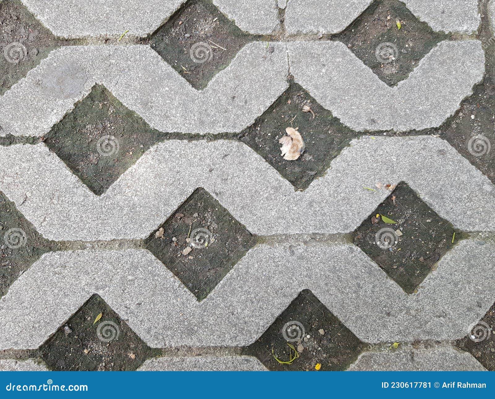 A Paving Block At Garden RoyaltyFree Stock Photography CartoonDealer