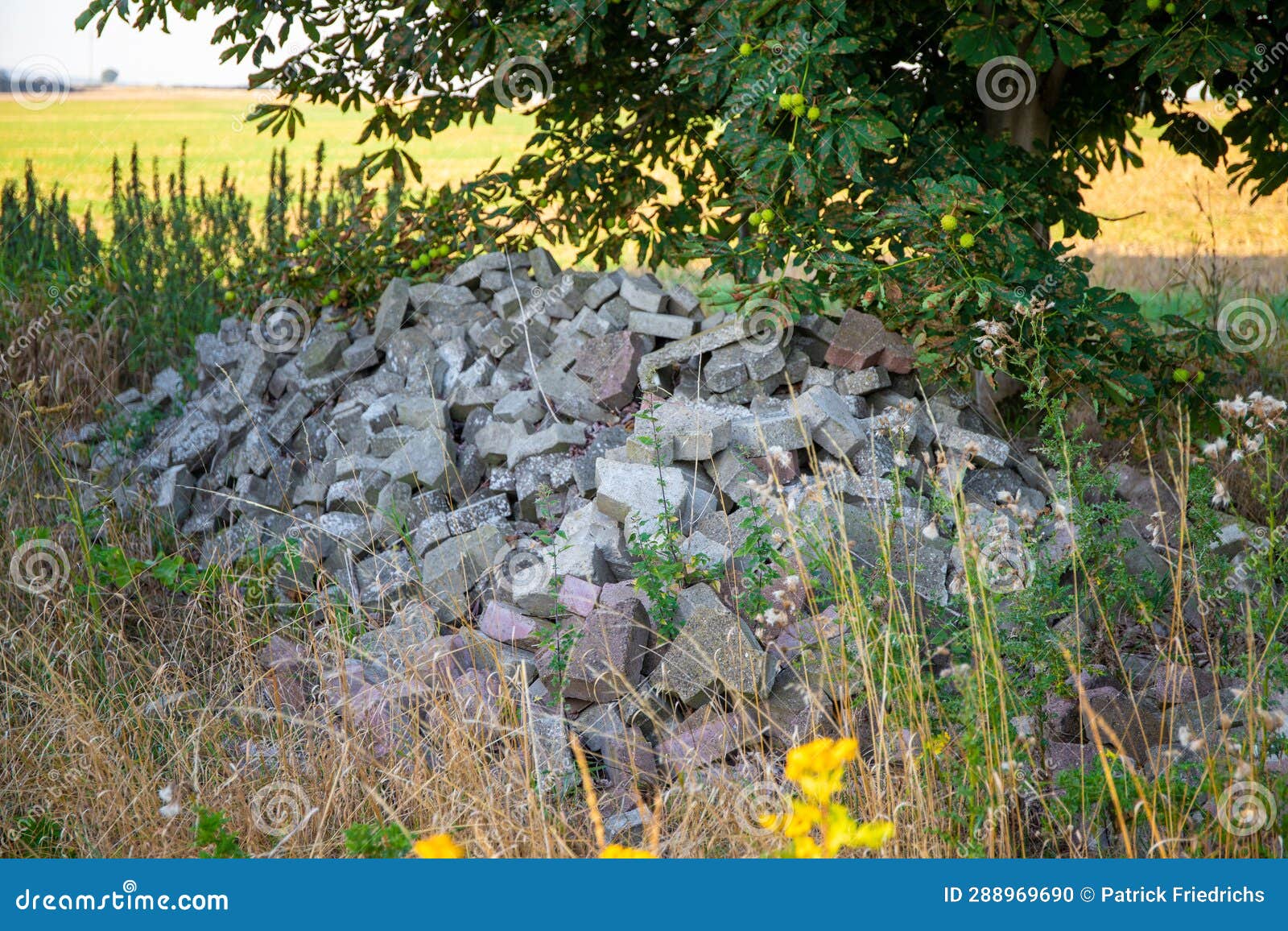 Paving Stone Pile Up Under a
