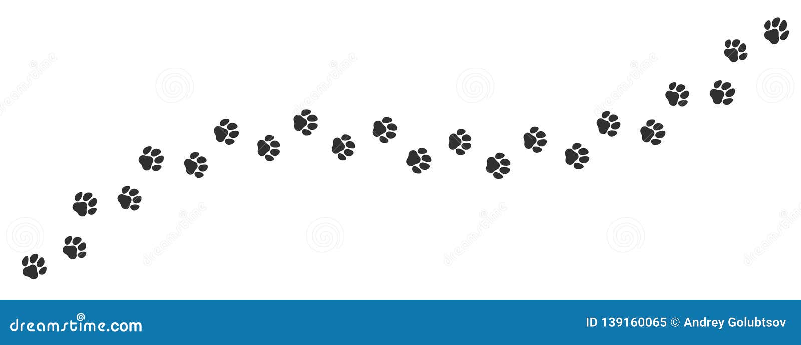 paw print trail on white background.  cat or dog, pawprint walk line path pattern