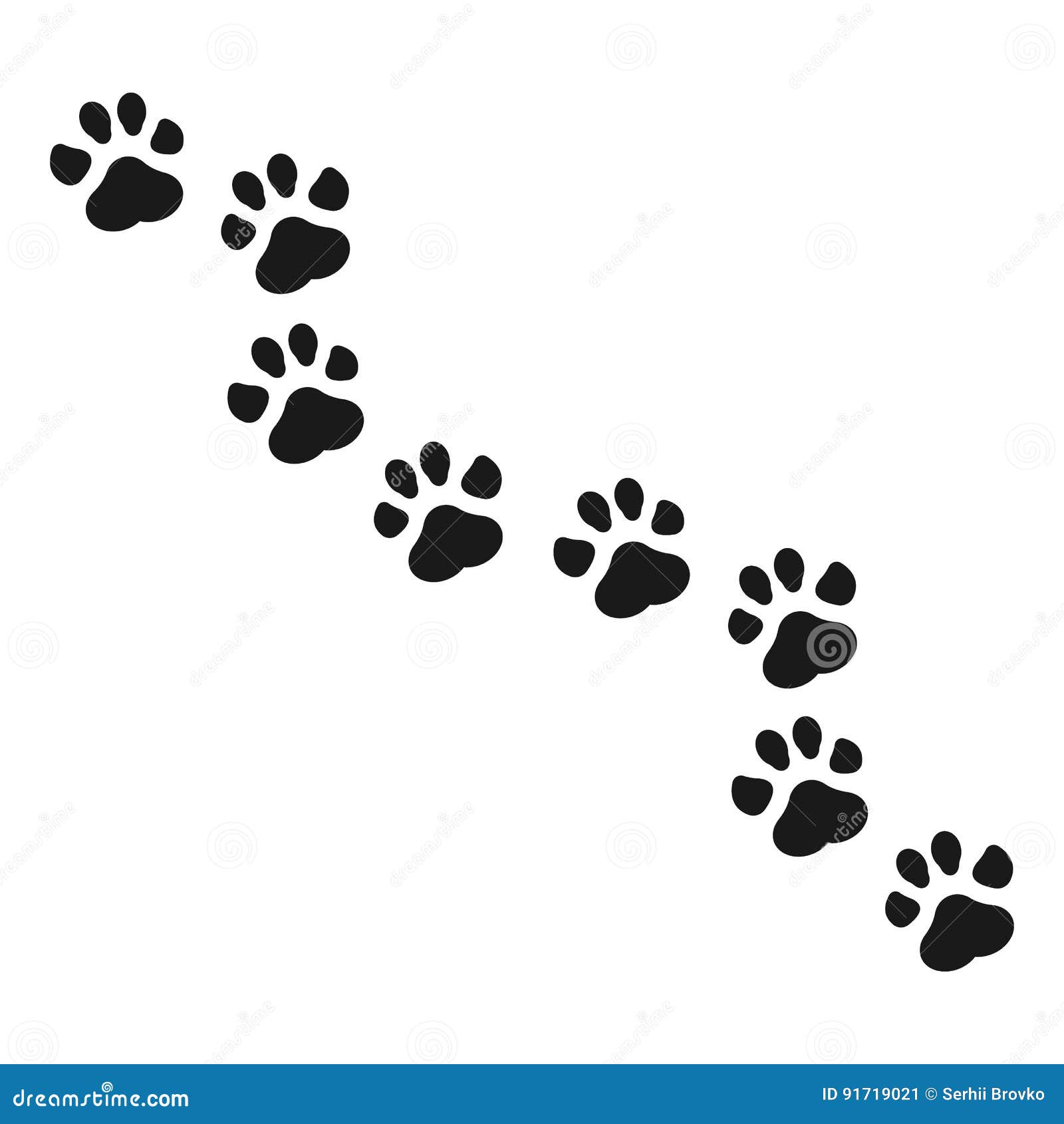 My Image 15