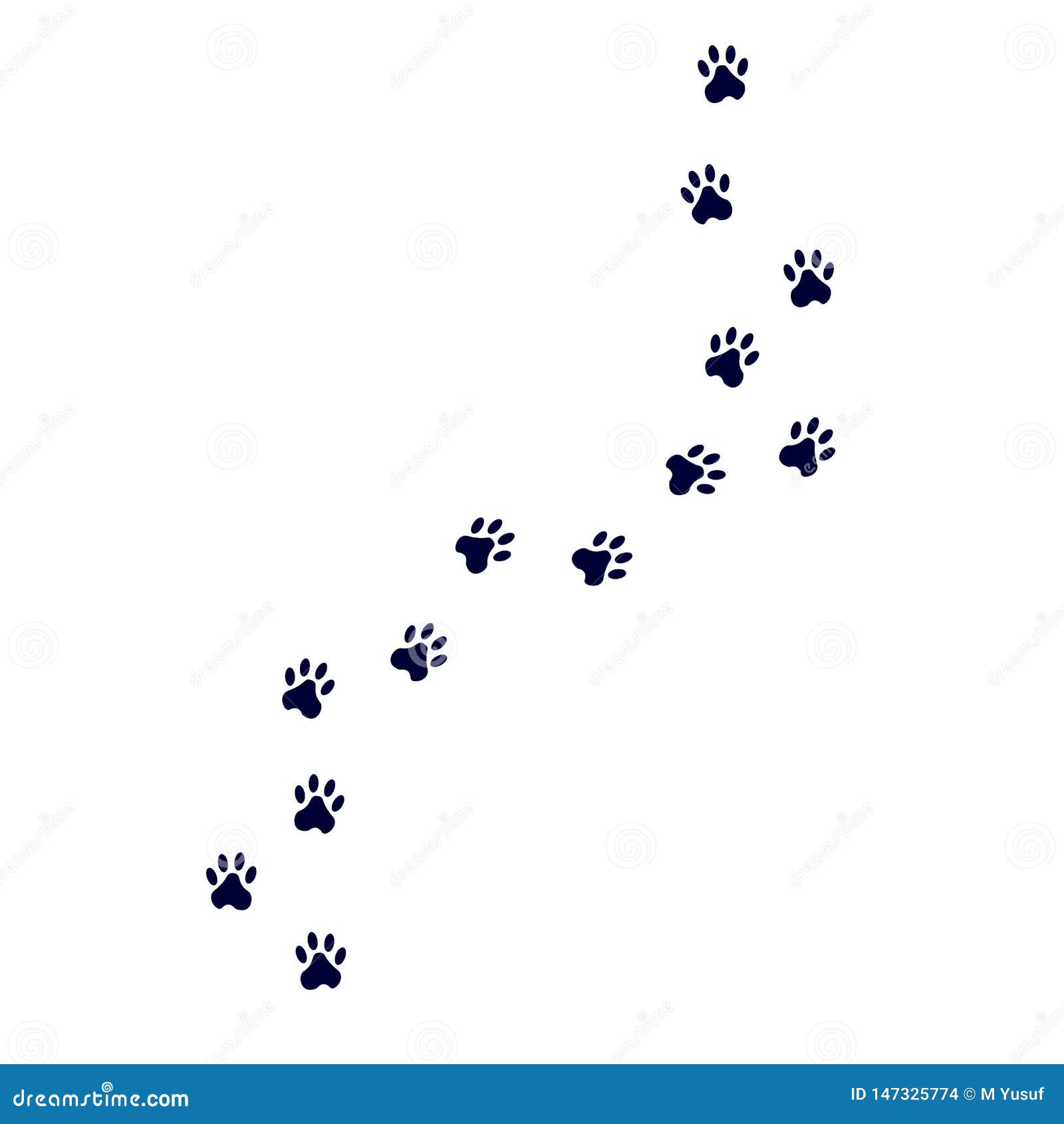 Paw Vector Foot Trail Print Of Cat. Stock Illustration ...