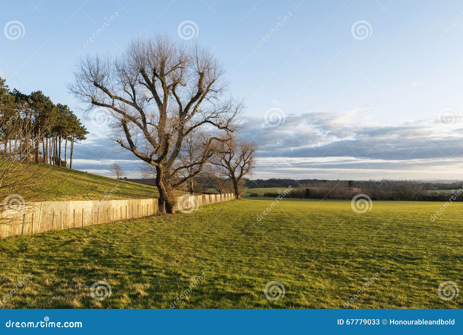 Paysage Anglais De Campagne De Ressort Pendant Le Beau