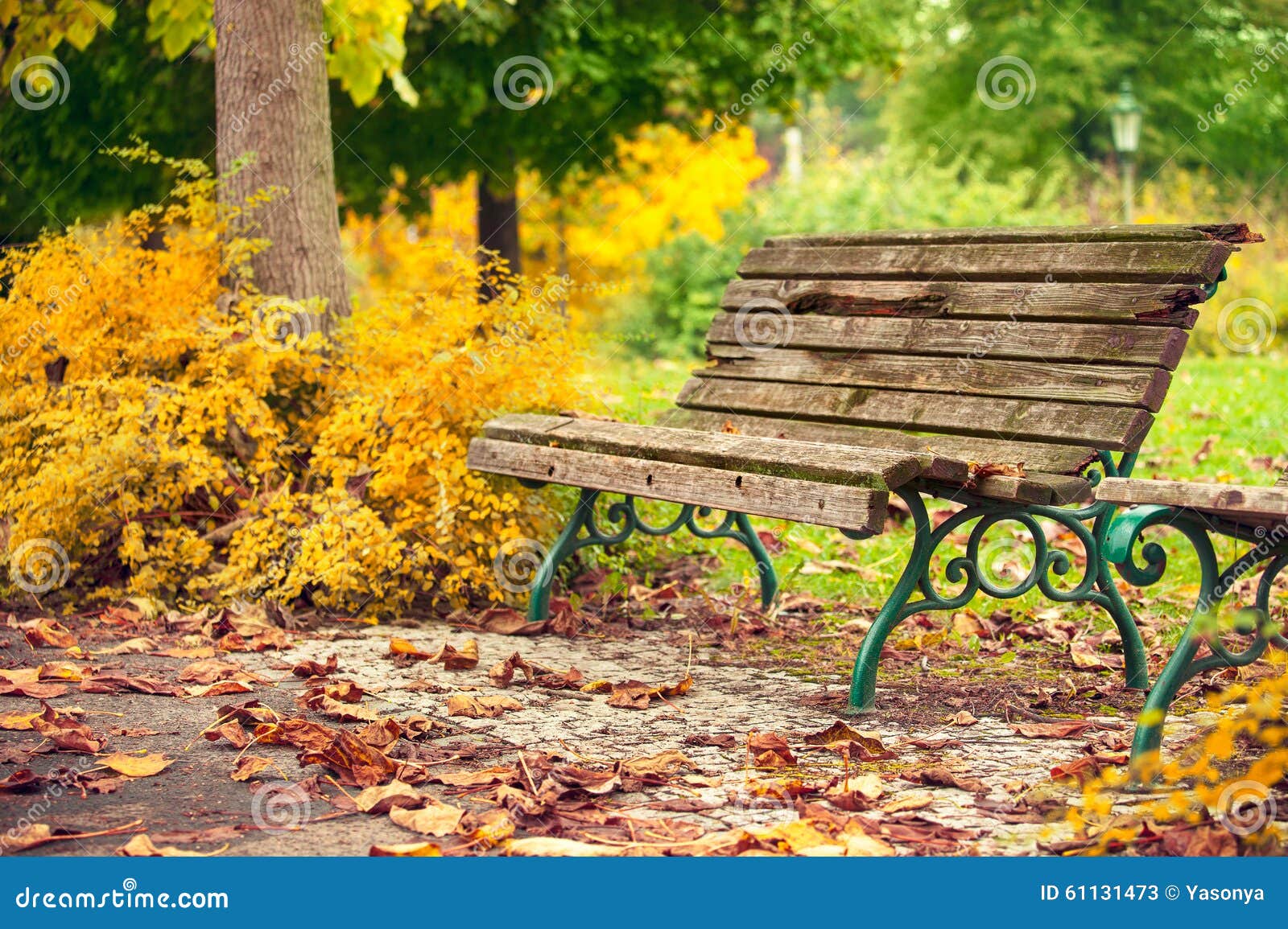 Paysage Automnal Avec Le Banc En Bois Image stock - Image du automne,  verts: 61131473