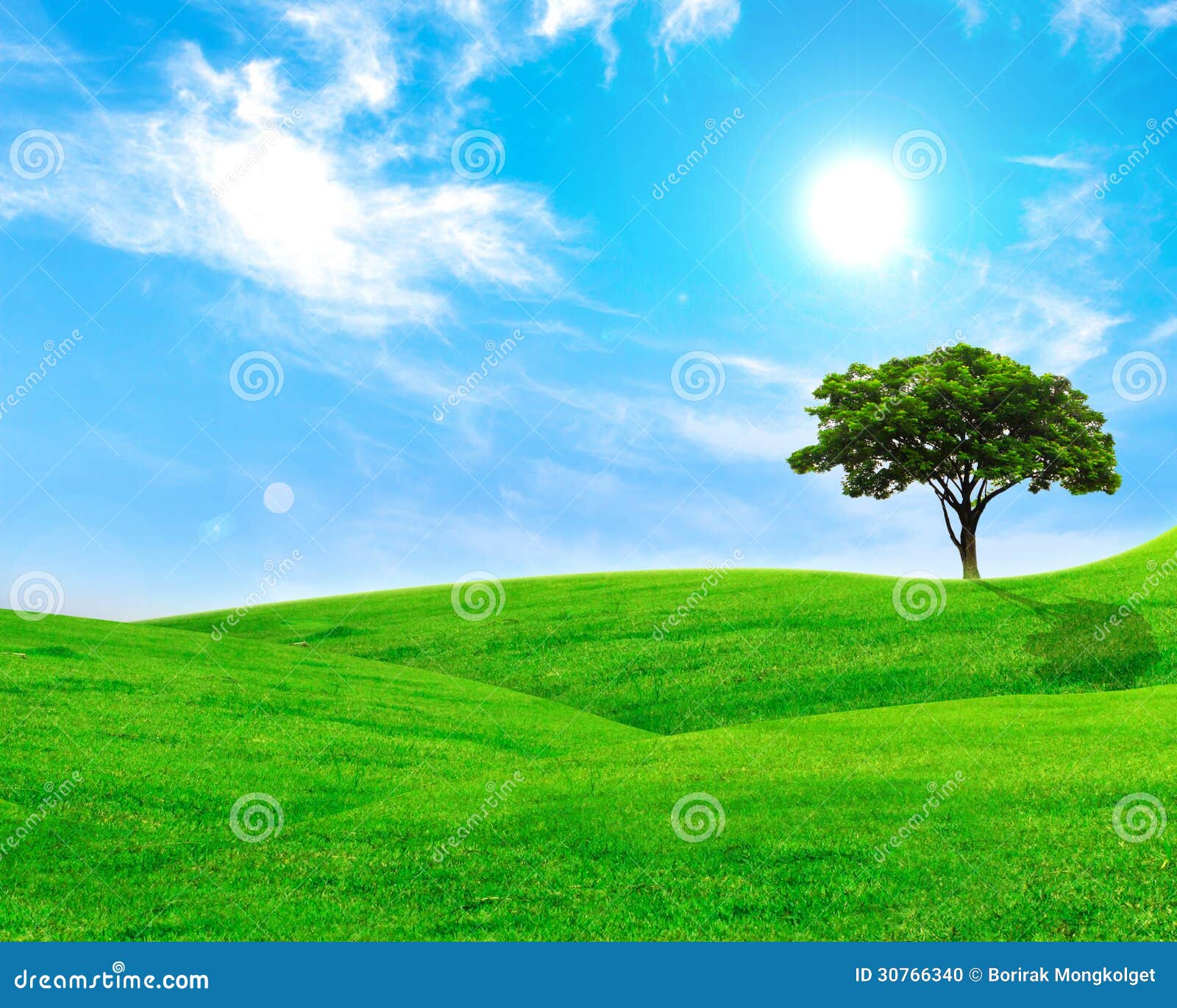 Paysage de campagne. Herbe verte et ciel bleu Stock Photo