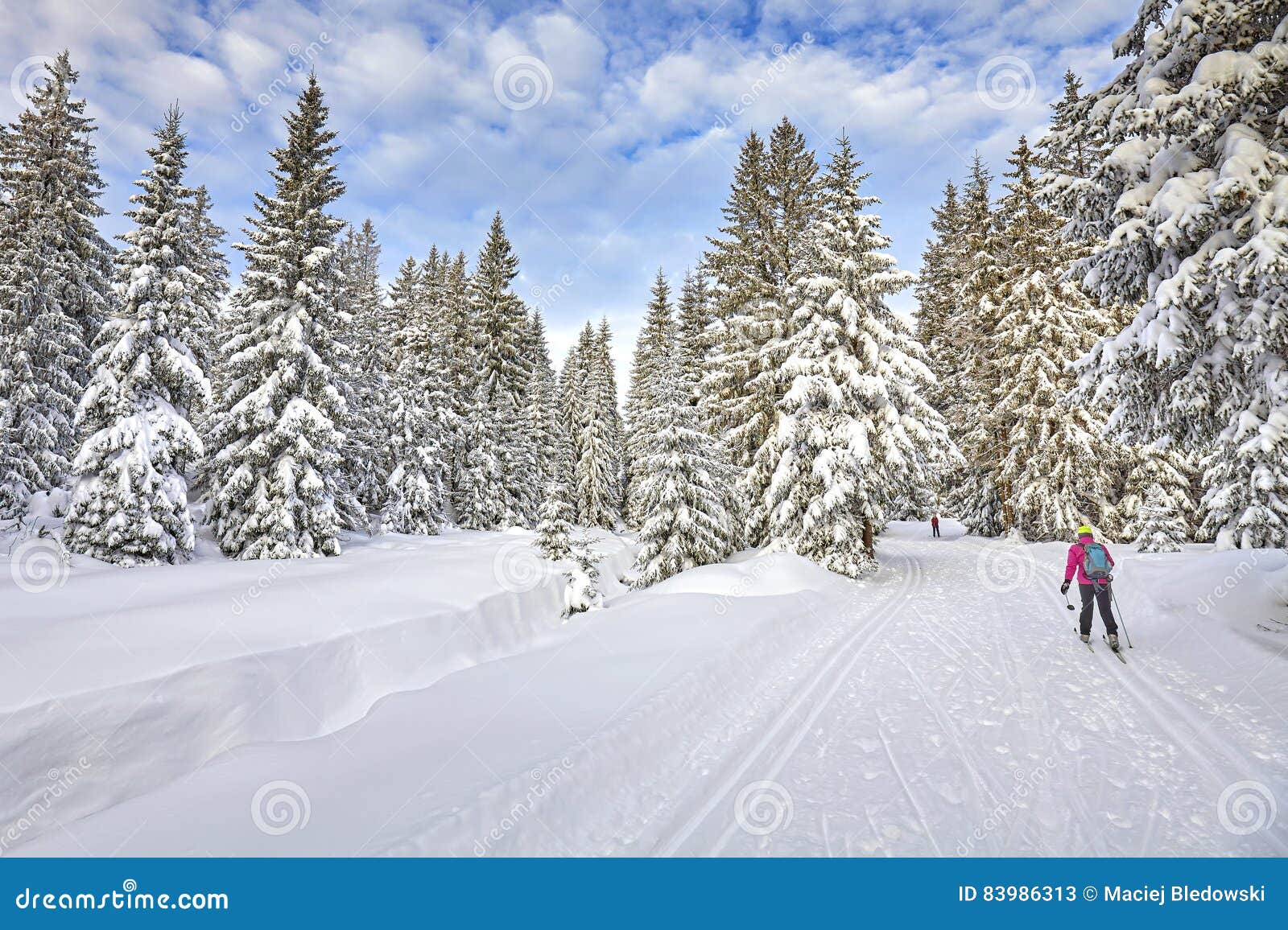 Paysage D Hiver Avec Les Voies Et Le Skieur De Ski De Fond Image Stock Image Du Nature Skieur Paysage D Hiver Avec Les Voies Et Le Skieur De Ski De Fond Image Stock Image Du Nature Skieur