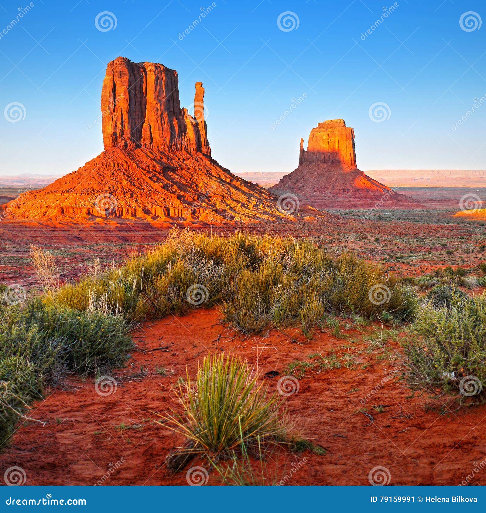 arizona paysage