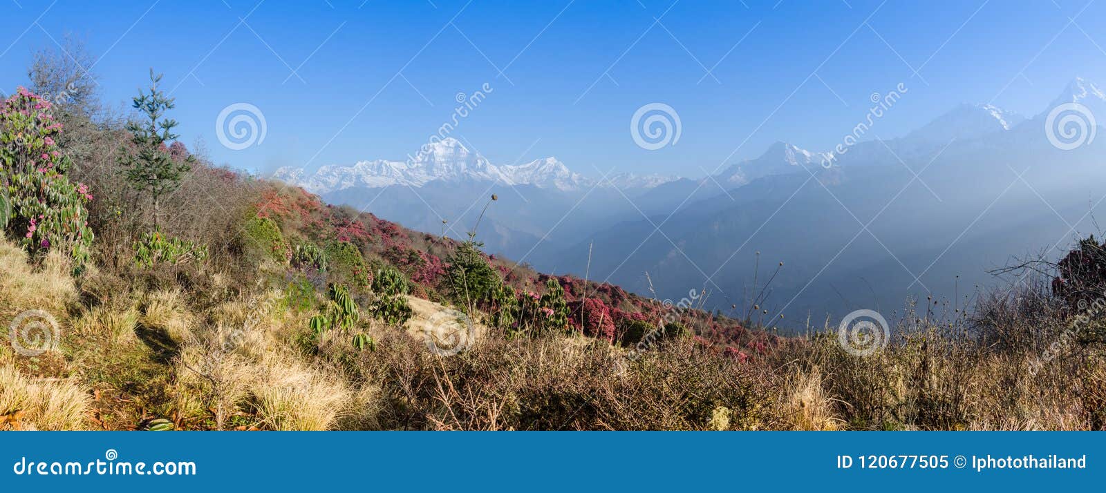 Paysage De Lhimalaya Chaîne De Montagne Image Stock Image