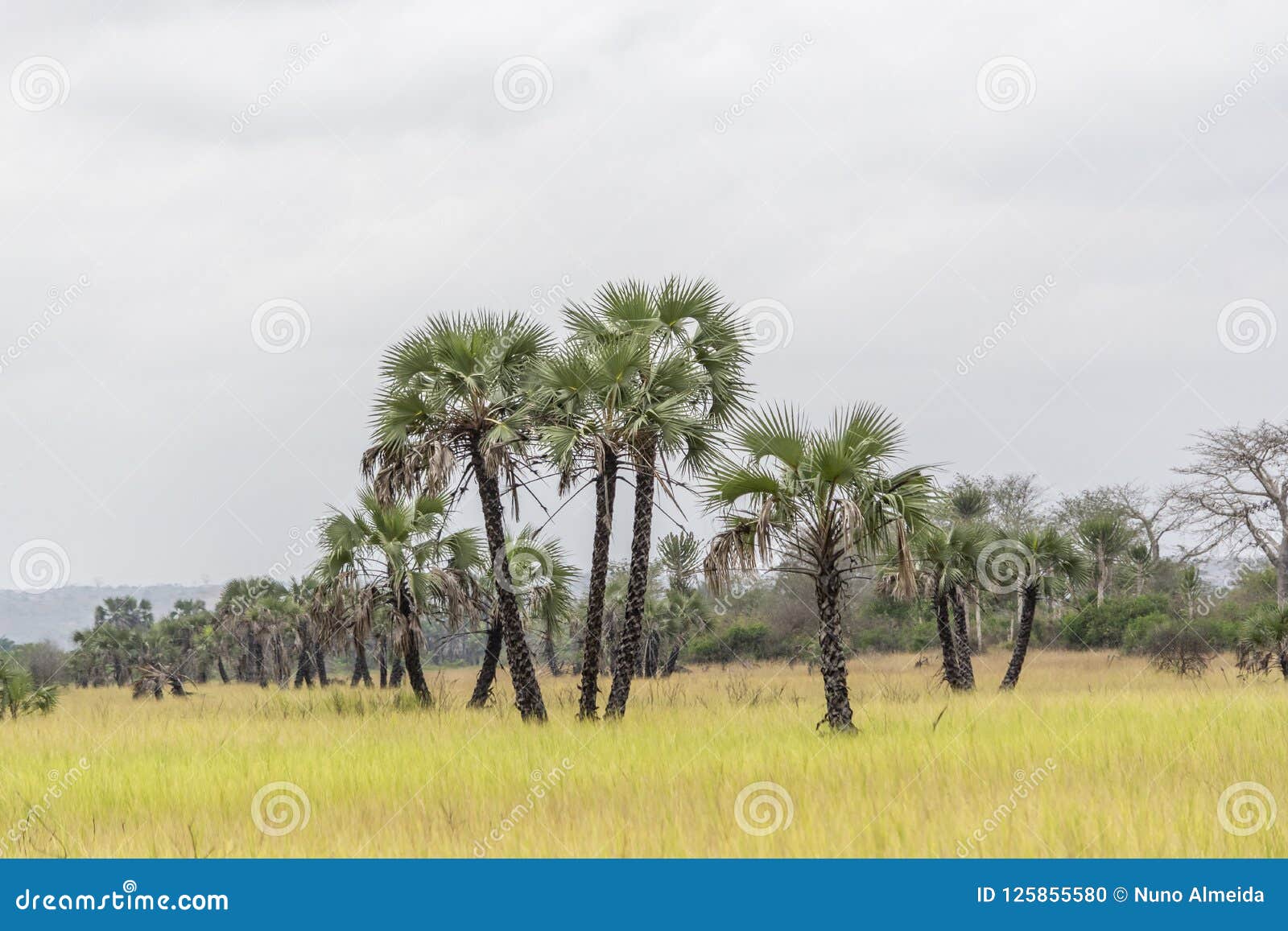angola paysage