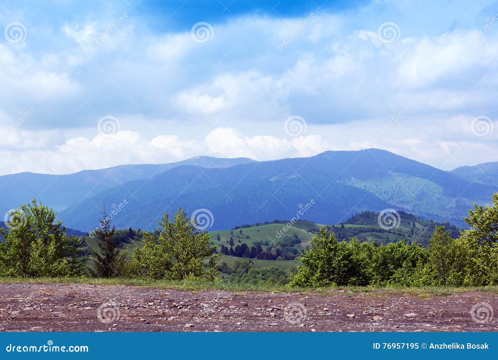 Paysage de montagnes de Carpathiens avec les arbres verts et le brun. Aménagez se composer en parc d'une route avec les arbres verts sur le premier plan et les montagnes de Carpathiens avec le sapin et les arbres verts au milieu de l'image et le ciel bleu avec des nuages sur le fond