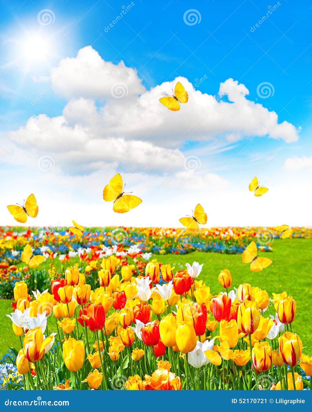 Paysage De Printemps Avec Animaux Paysage De Printemps Avec Les Papillons Et Le Ciel Bleu Ensoleillé Image stock - Image du frais, bonheur: 52170721
