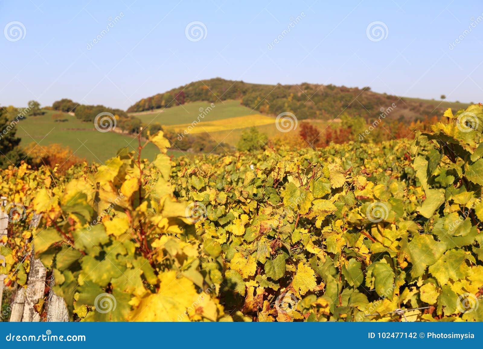 region bourgogne paysage