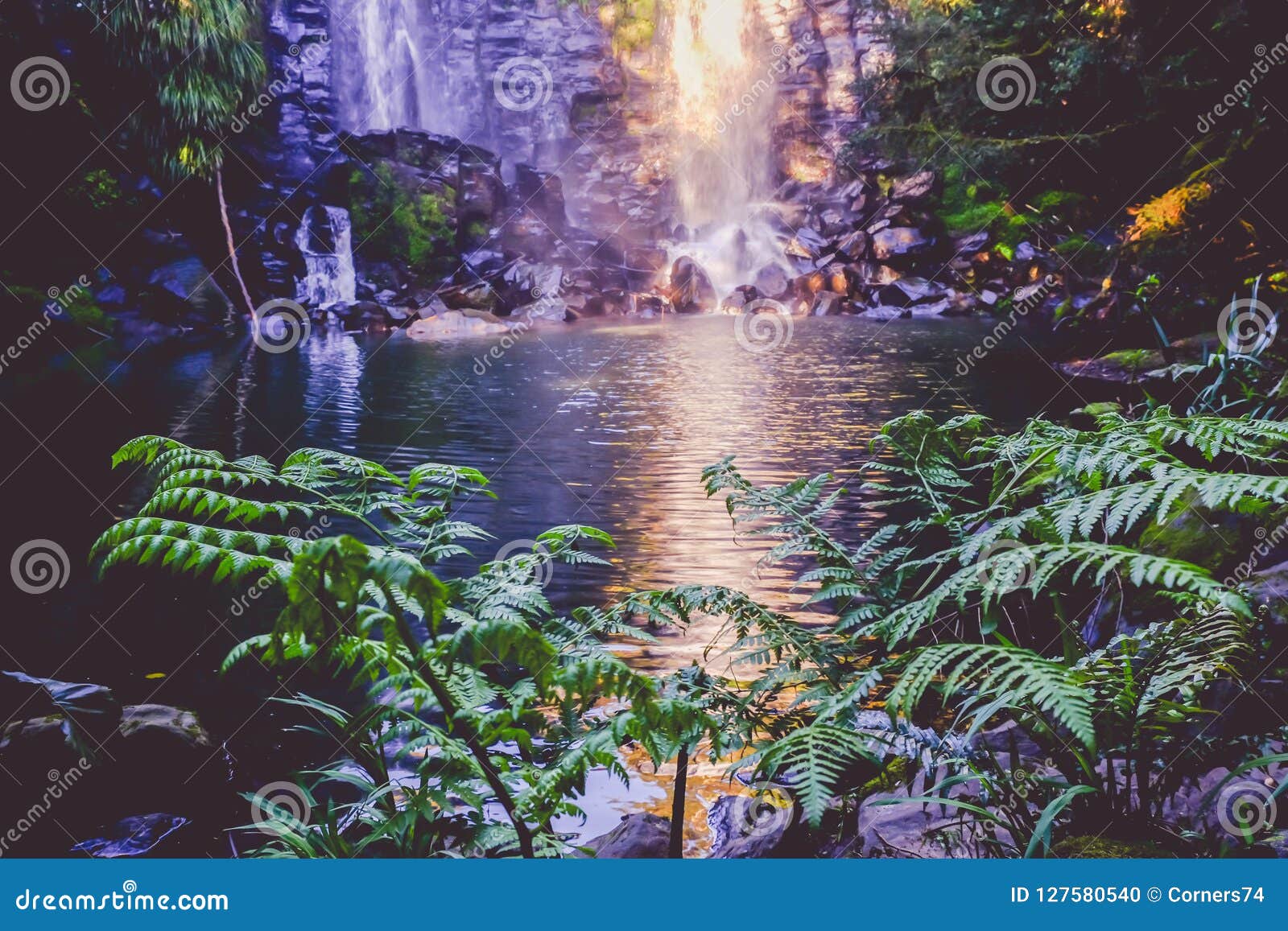 Paysage Feerique D Imagination Cascade De Wairoa Te Wairere Dans Kerik Photo Stock Image Du Paranormal Mousse Paysage Feerique D Imagination Cascade De Wairoa Te Wairere Dans Kerik Photo Stock Image Du Paranormal Mousse