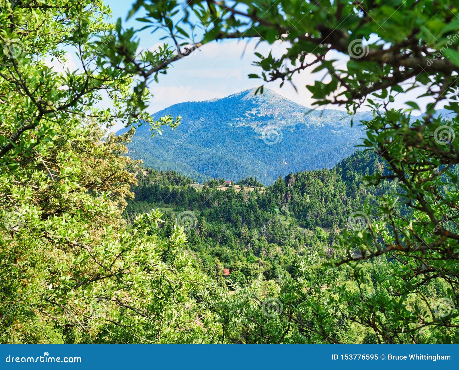 Paysage grec de montagne, avec la petite église sur la mi colline de distance, la Grèce. Un paysage grec vert feuillu de montagne, avec la vue à une petite église orthodoxe grecque sur un mi dessus de colline de distance avec le dessus nu de montagne dans la distance, la Grèce