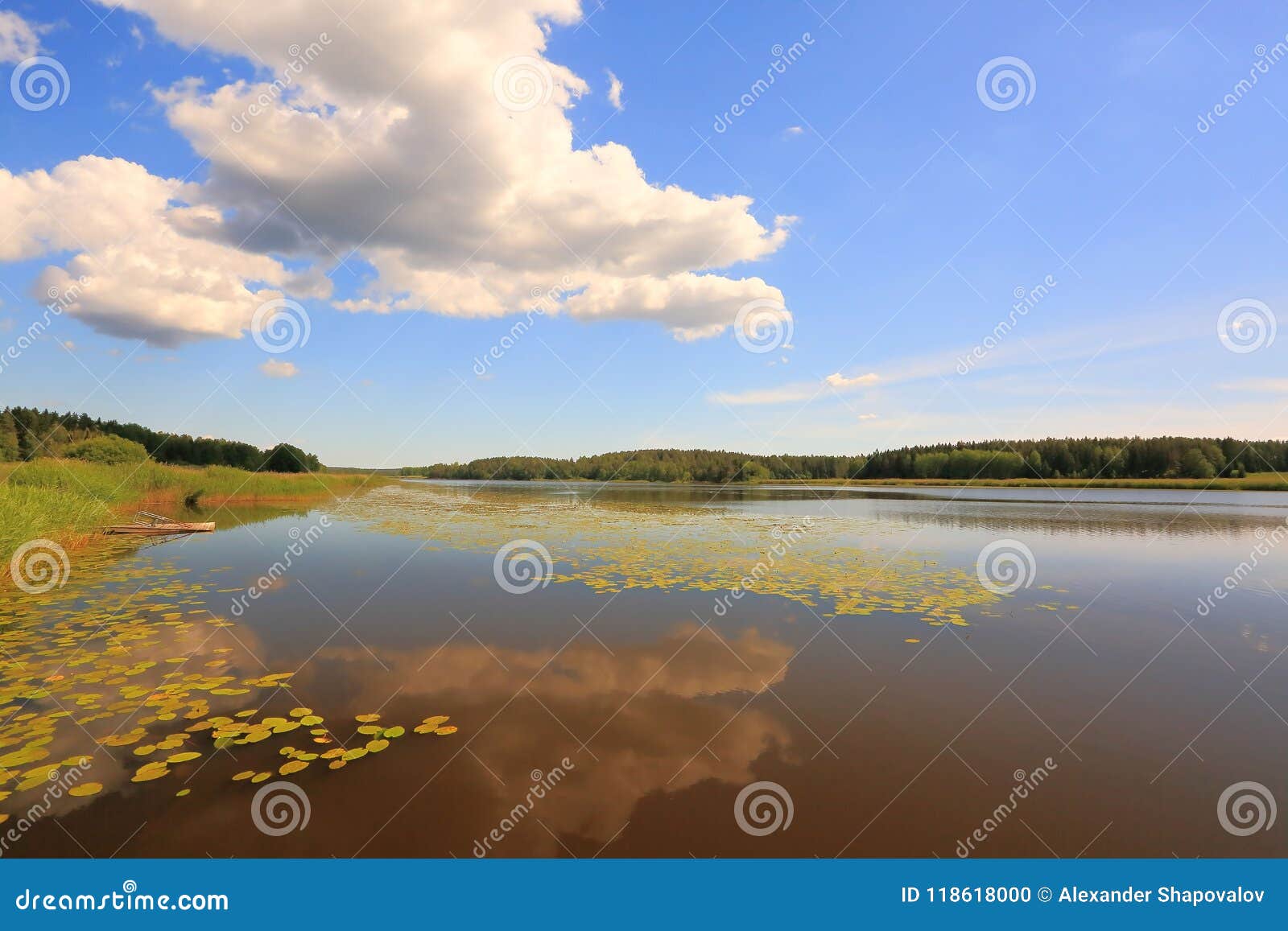 Paysage Magnifique De Nature Un Jour D Ete Peinture Et Pelouse