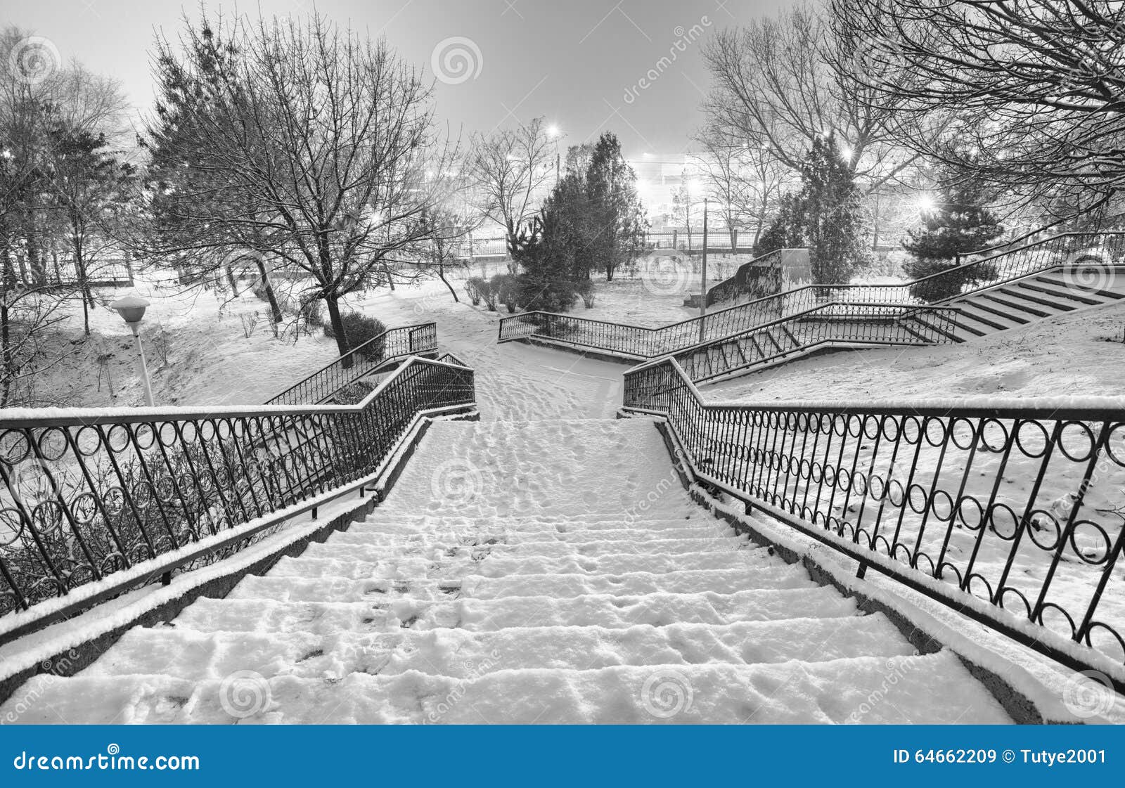 Paysage Noir Et Blanc D Hiver Image Stock Image Du Fond Givre