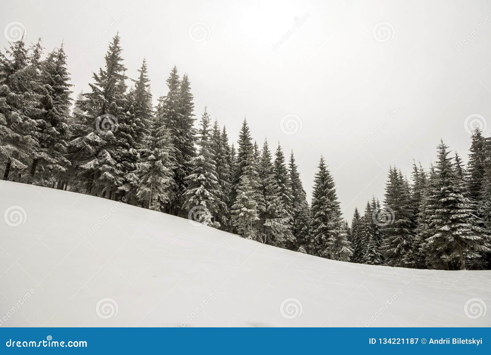 Paysage Noir Et Blanc De Noël De Nouvelle Année De Montagne