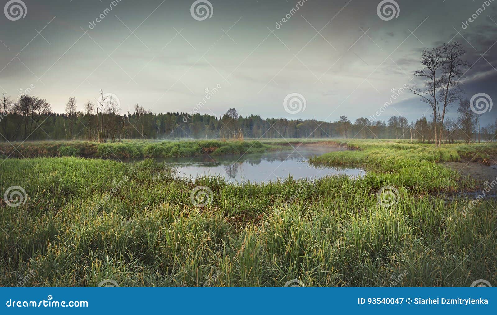 Paysage Triste De La Nature De Matin Sur La Banque De La Riviere Sur Un Fond De Foret Foncee Avec Le Brouillard Image Stock Image Du Foncee Banque