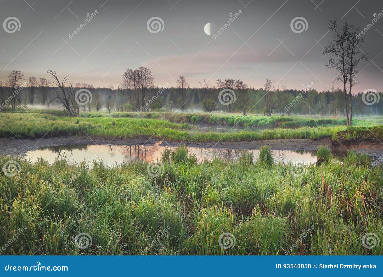 Paysage Triste Melancolique De Nature Pendant Le Debut De La Matinee Sur La Berge Avec Une Grande Lune Photo Stock Image Du Lune Berge