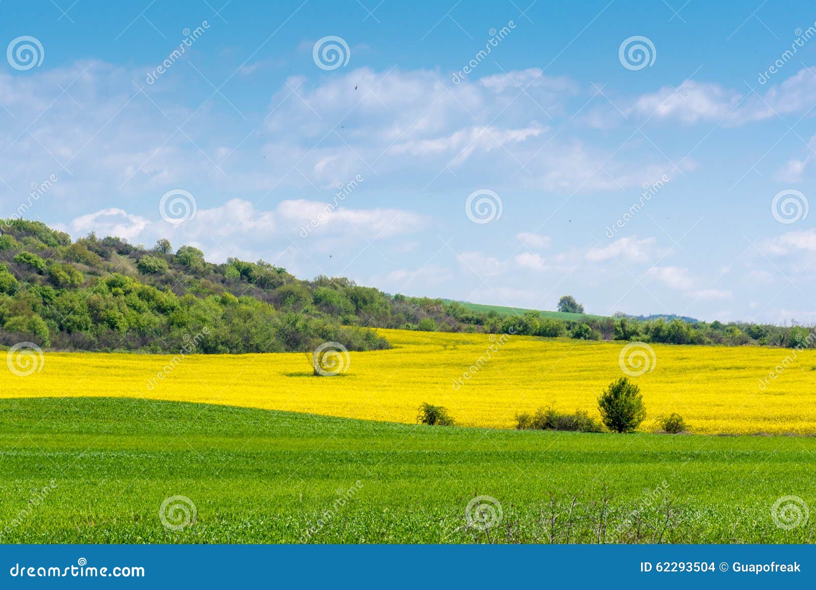 Afficher limage dorigine