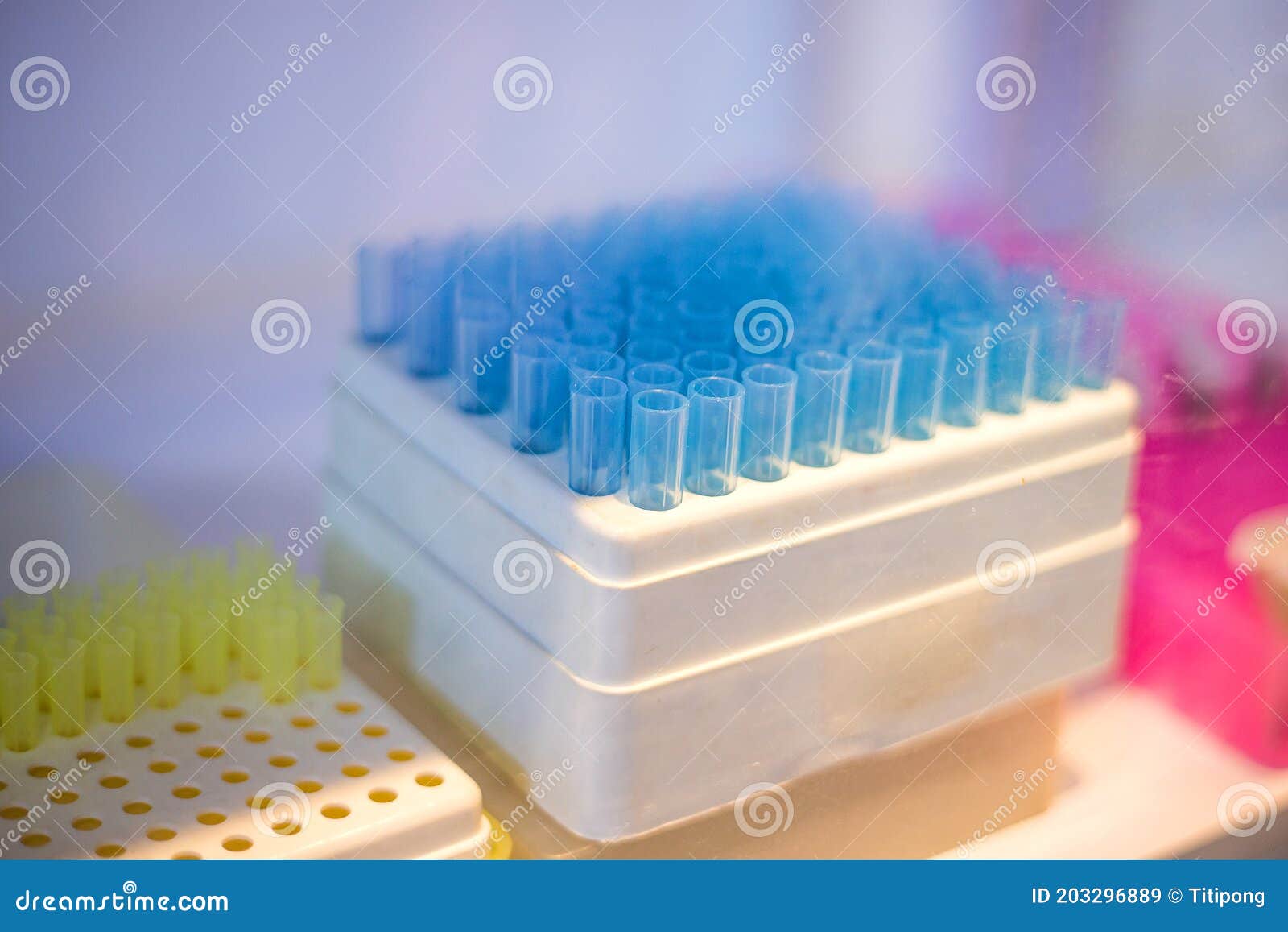 Pcr Well Plate Microplate with Biological Samples Stock Image Image