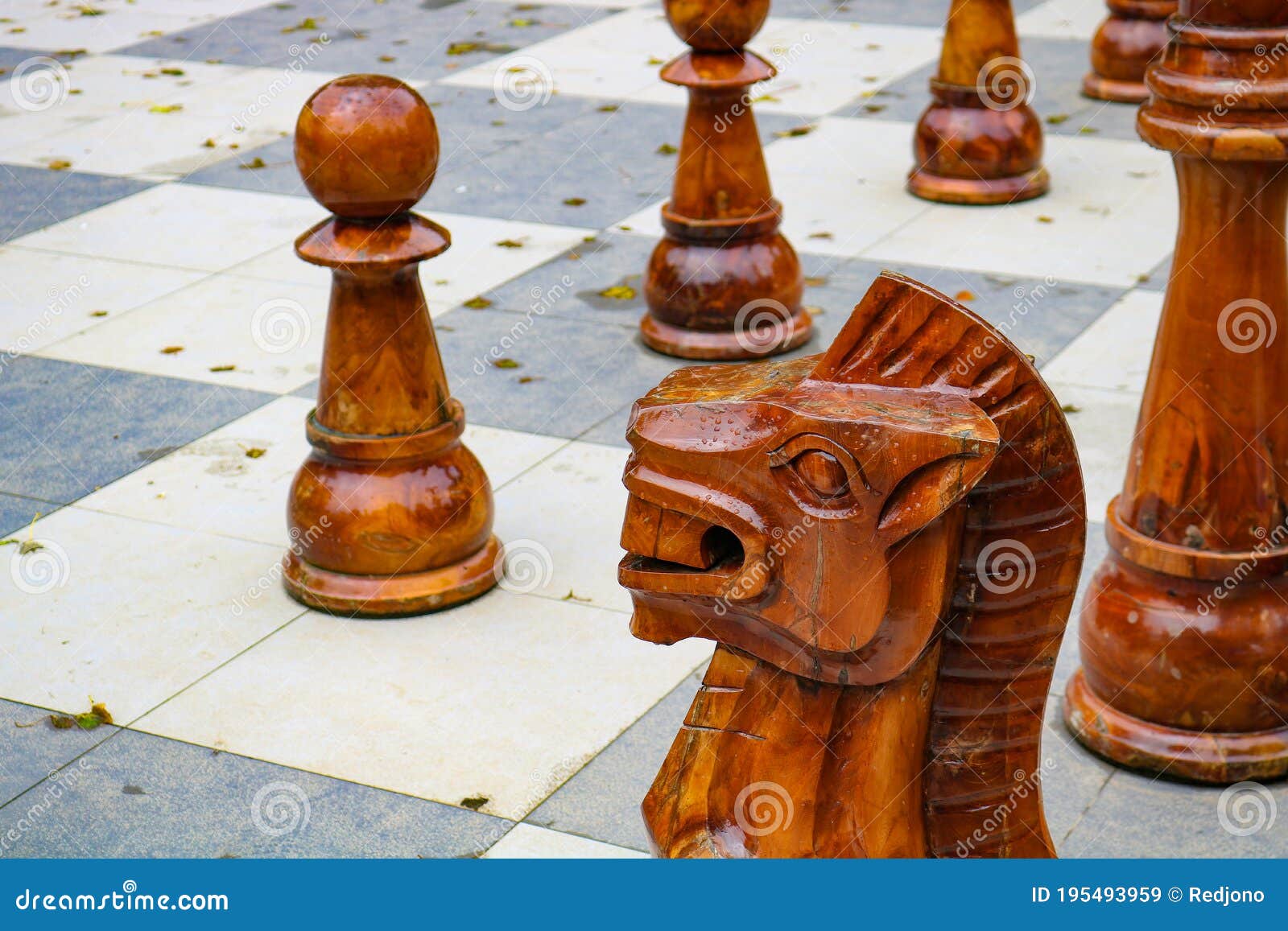 Peça De Xadrez De Cavaleiro De Madeira No Tabuleiro De Xadrez Ao Ar Livre  Imagem de Stock - Imagem de xadrez, figura: 195493959