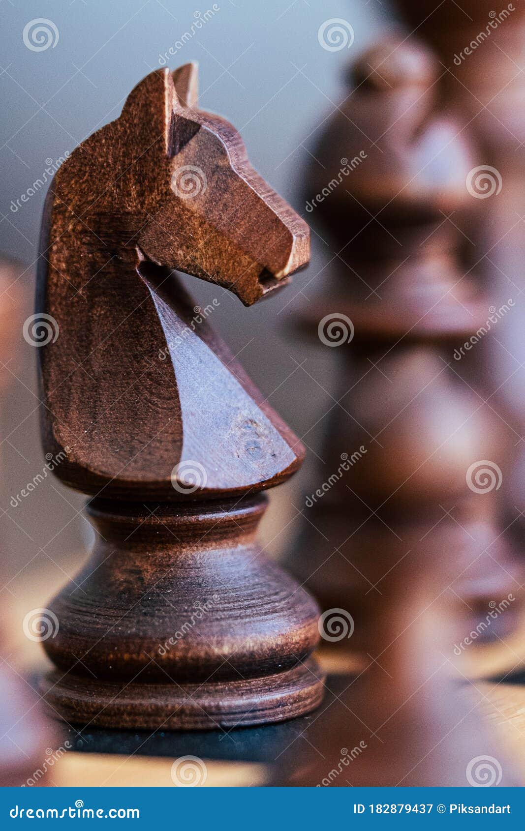 Uma peça de xadrez preta com uma cabeça de cavalo.