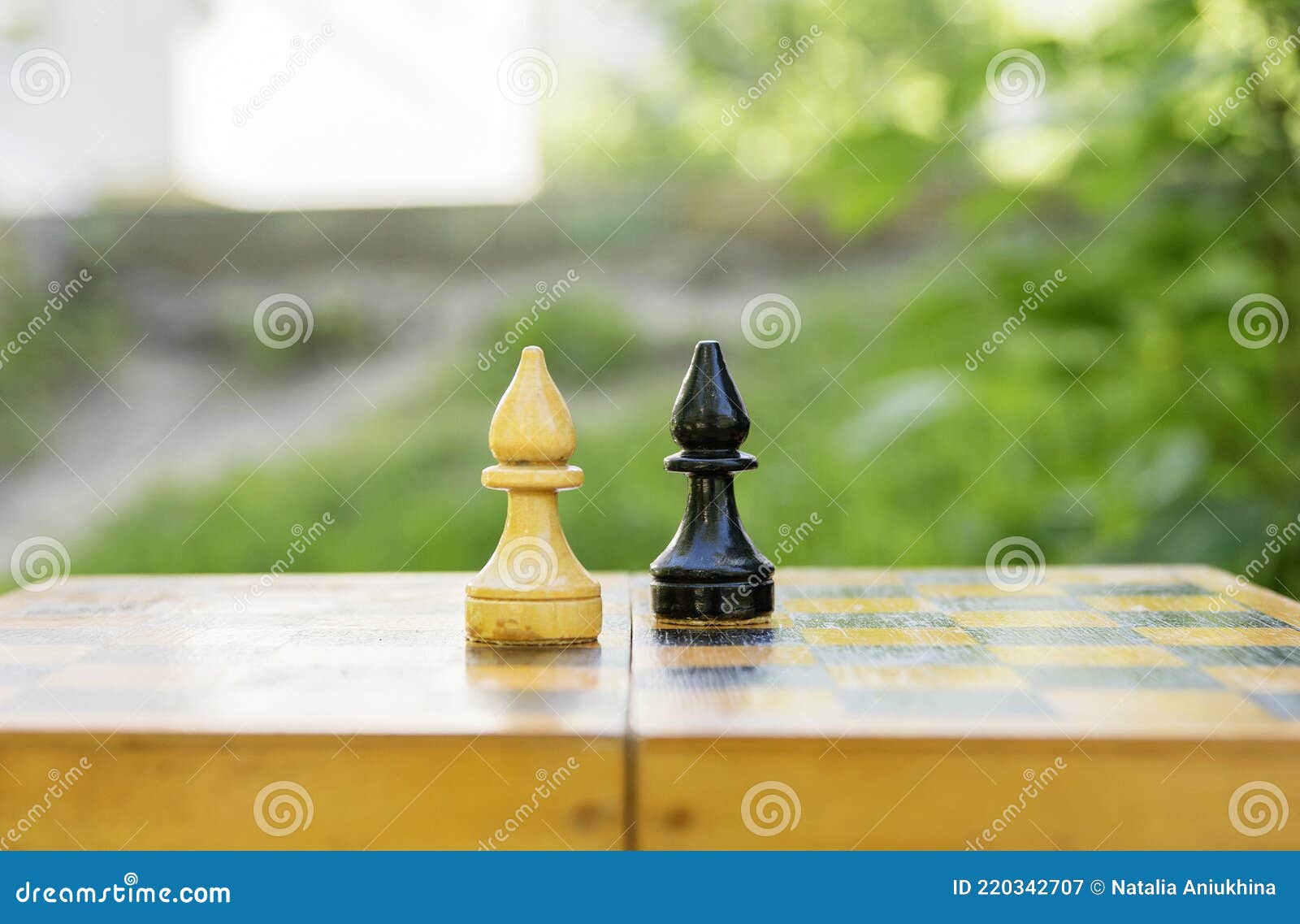 Bispos Preto E Branco Da Xadrez Imagem de Stock - Imagem de xadrez
