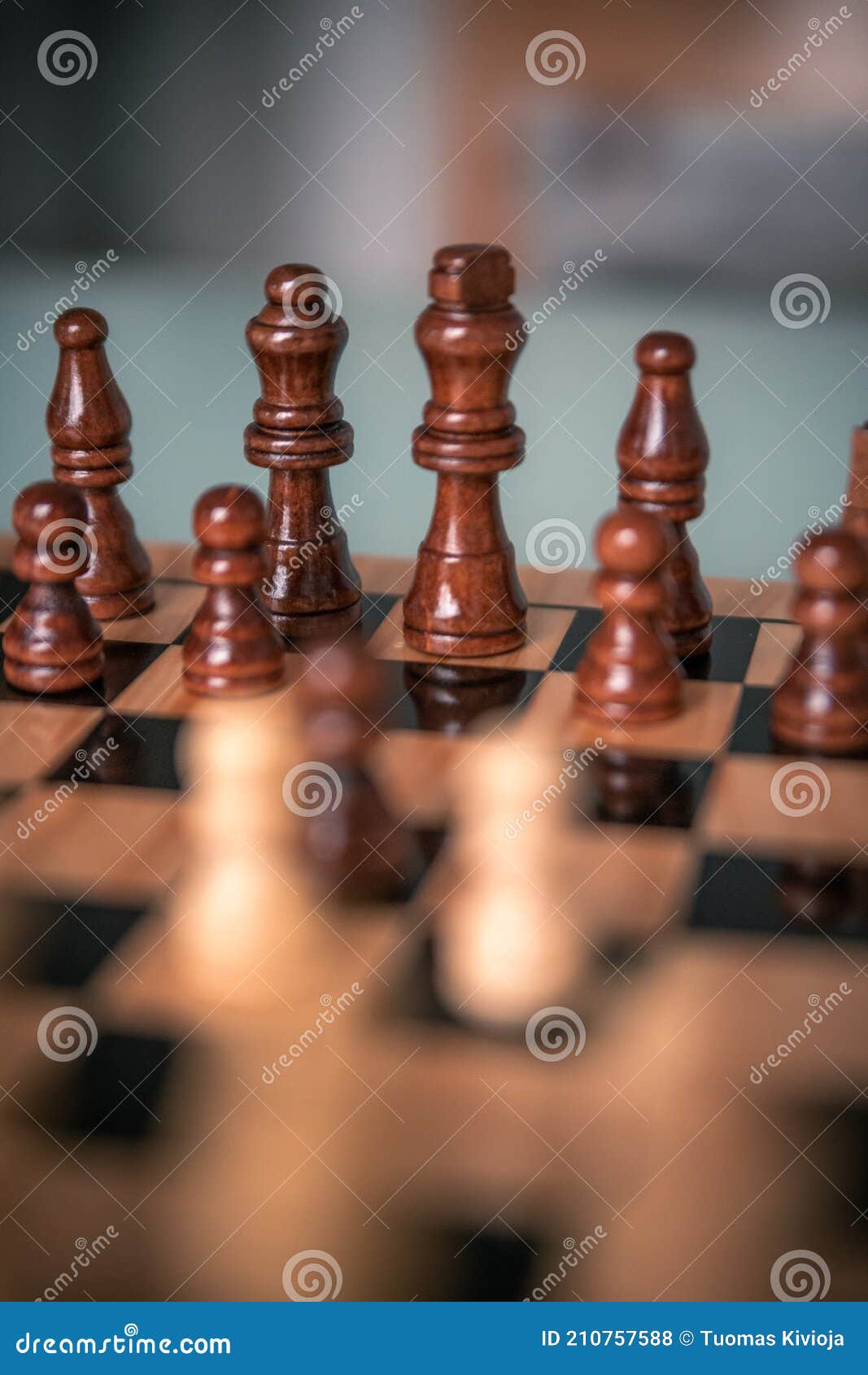 Peças de xadrez de madeira, jogo de tabuleiro e estratégia, jogo