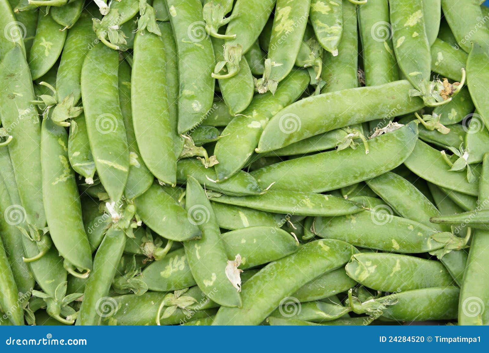 Pea legumes stock photo. Image of garden, food, hull 24284520