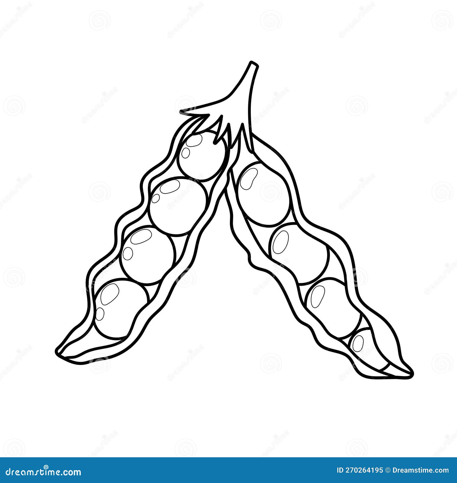 Pea Pod Coloring Page for Adults and Kids. Black and White Print with