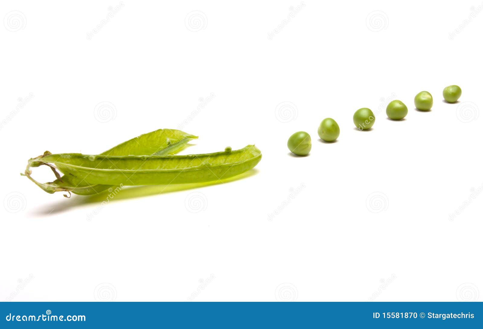 Pea Pods stock photo. Image of nutrition, nature, agriculture 15581870