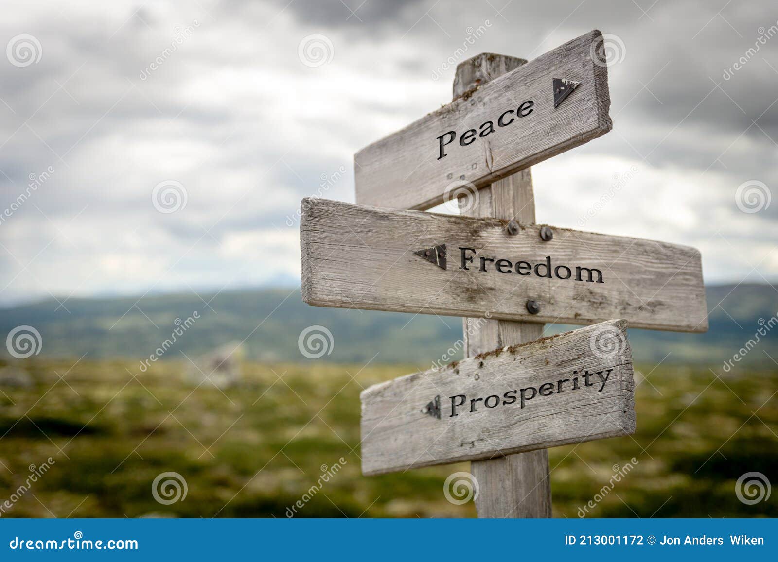 peace freedom prosperity text on wooden signpost