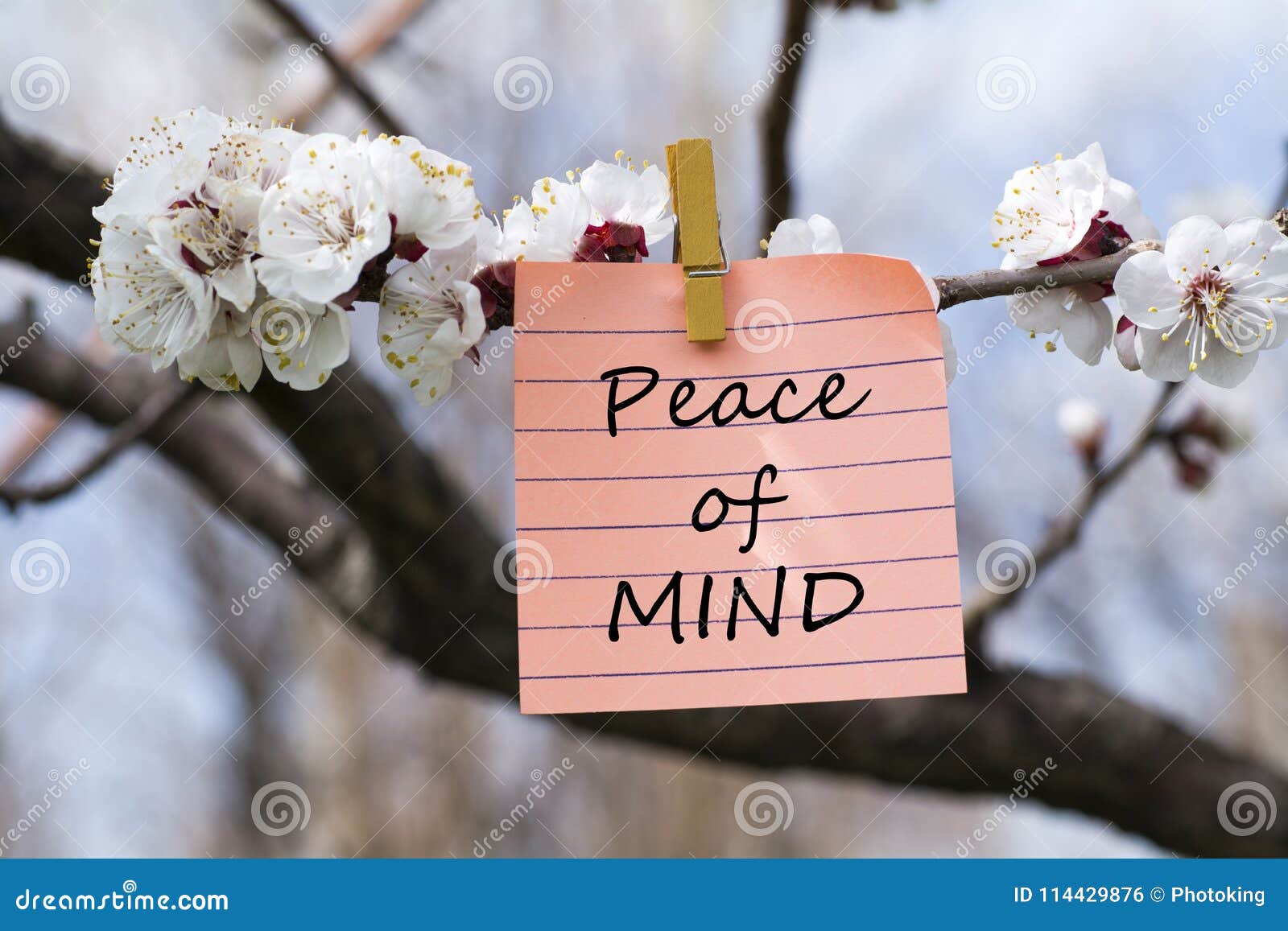 peace of mind in memo