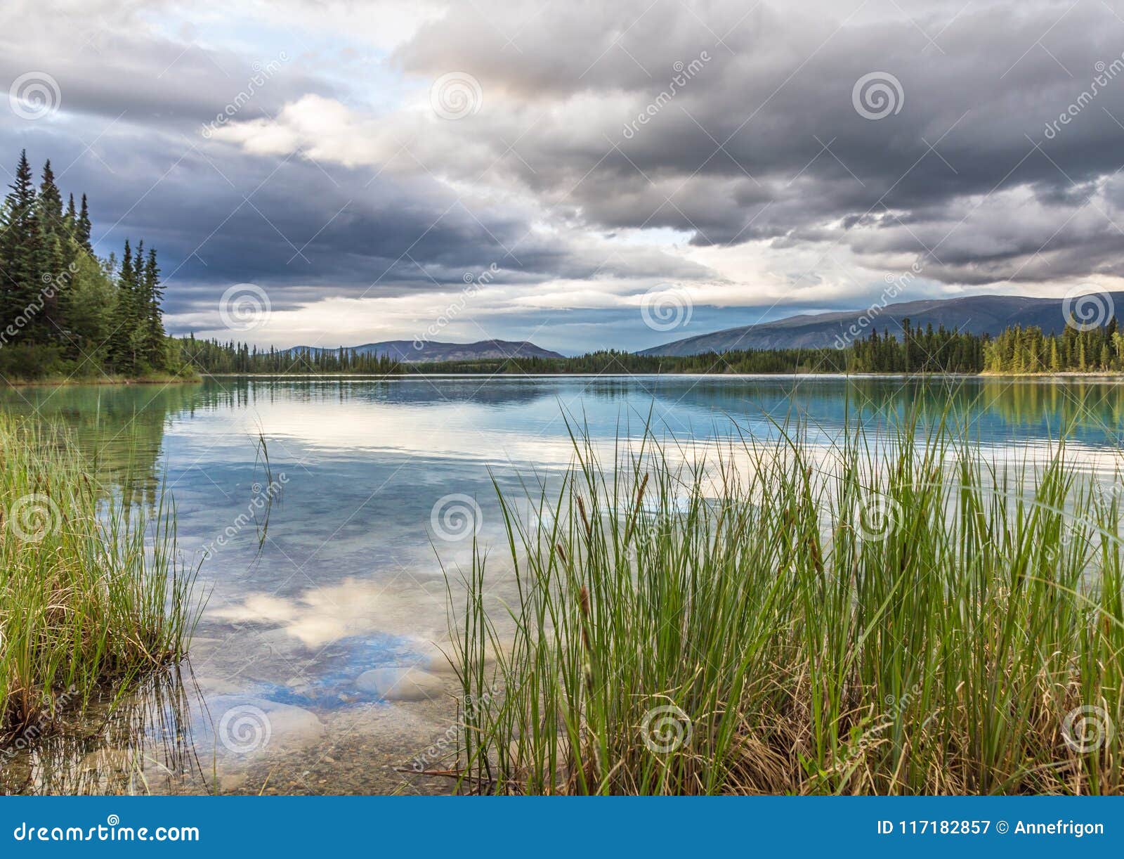 forest and scattered cloud reflected in clear, calm boya lake