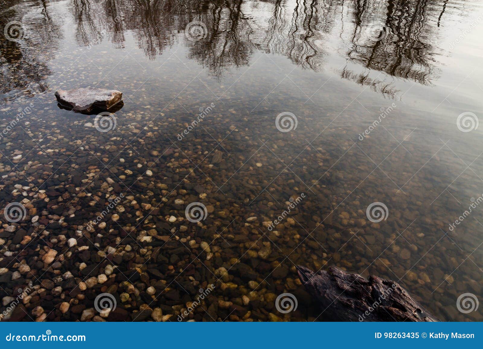 Peace Valley Park, Chalfont, PA Stock Image Image of chalfont, peace