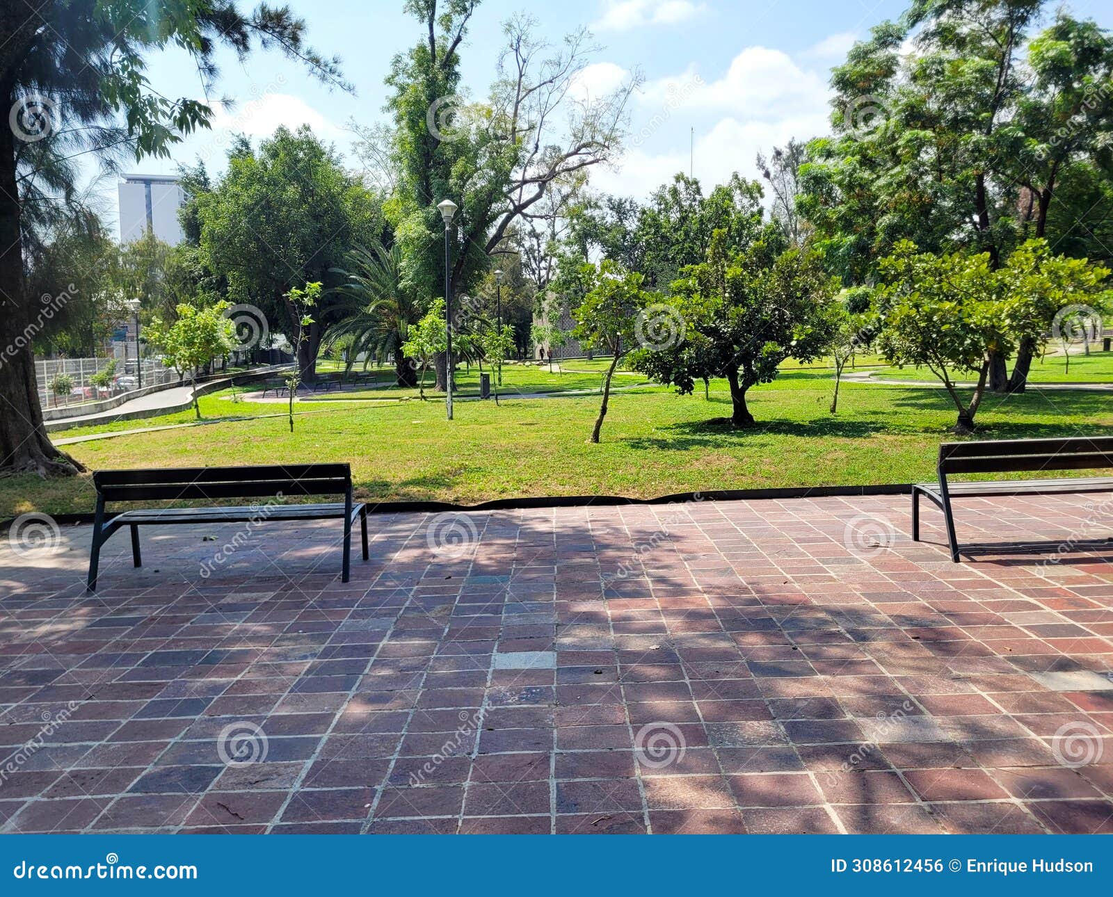 peaceful benches: tranquil afternoon at alcalde park in guadalajara